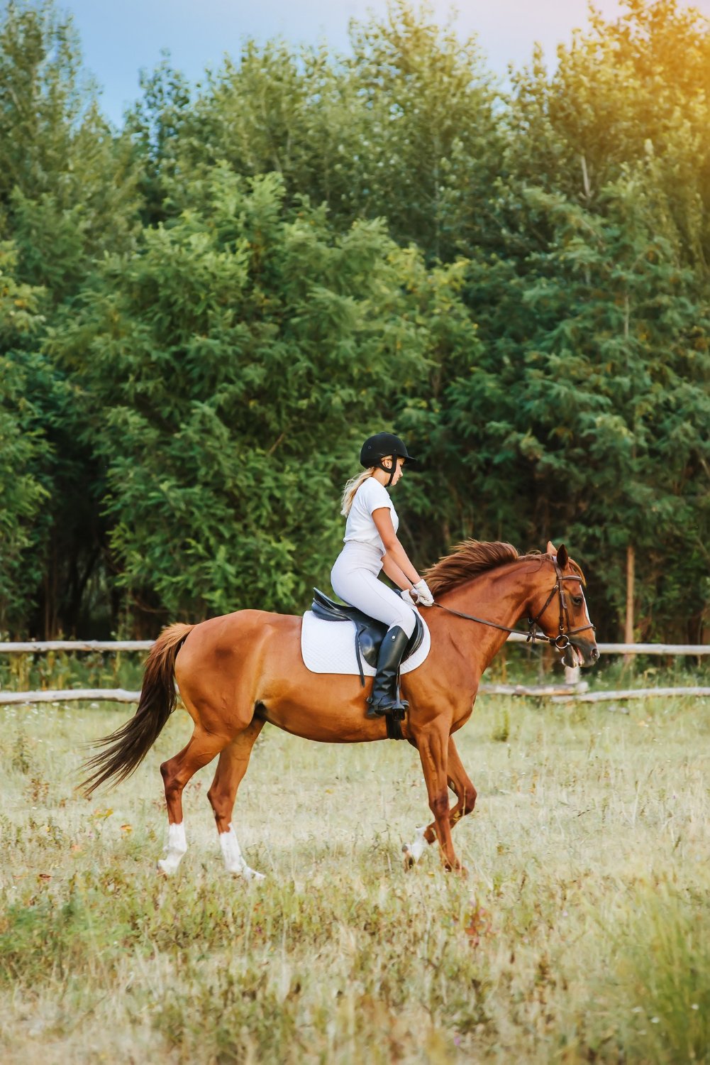Horse Riding