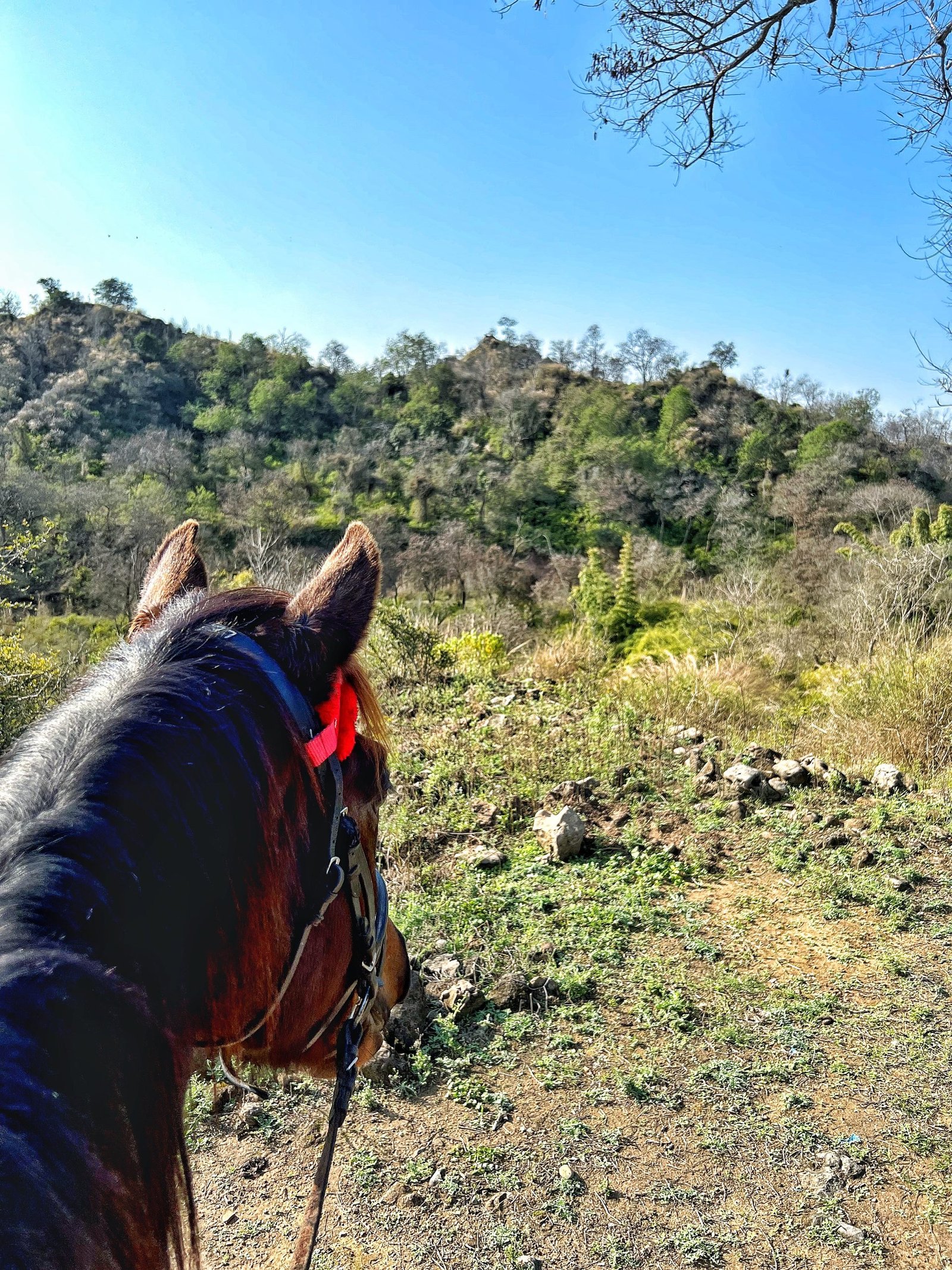 Nature Trails