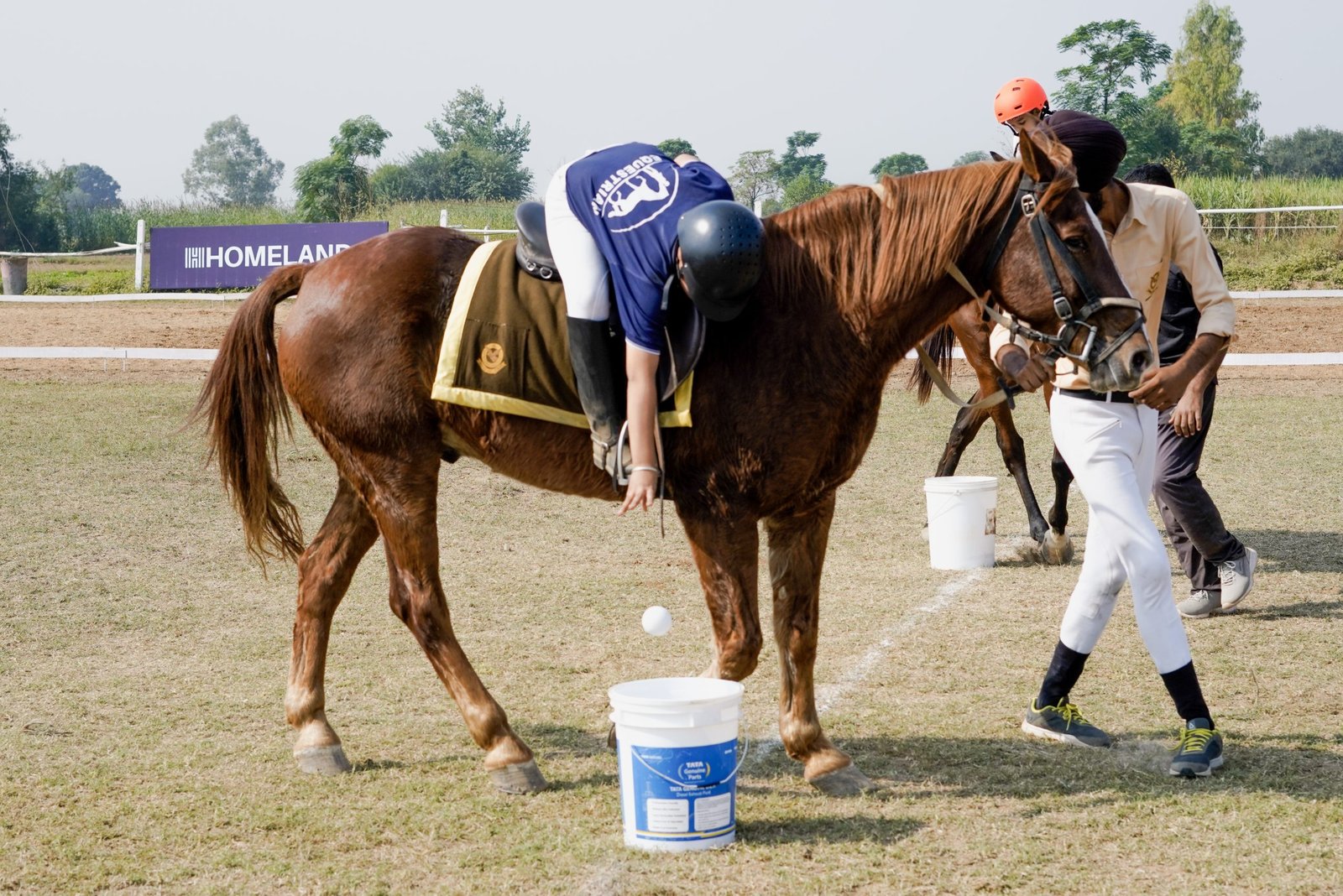Equestrian Days